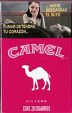 CamelCollectors https://thecamelcollectors.com/assets/images/pack-preview/MX-084-13.jpg