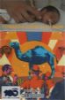 CamelCollectors https://thecamelcollectors.com/assets/images/pack-preview/MX-095-08.jpg