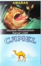 CamelCollectors https://thecamelcollectors.com/assets/images/pack-preview/MY-004-04-6a43879a241ed.jpg