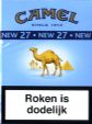 CamelCollectors https://thecamelcollectors.com/assets/images/pack-preview/NL-007-24.jpg
