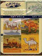 CamelCollectors https://thecamelcollectors.com/assets/images/pack-preview/NL-010-01.jpg