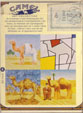 CamelCollectors https://thecamelcollectors.com/assets/images/pack-preview/NL-010-04.jpg