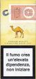 CamelCollectors https://thecamelcollectors.com/assets/images/pack-preview/NW-015-01.jpg