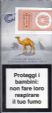 CamelCollectors https://thecamelcollectors.com/assets/images/pack-preview/NW-015-11.jpg