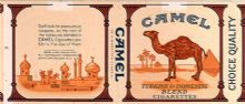 CamelCollectors https://thecamelcollectors.com/assets/images/pack-preview/NW-100-11.jpg