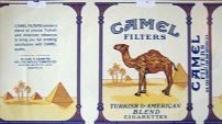 CamelCollectors https://thecamelcollectors.com/assets/images/pack-preview/NW-100-12.jpg