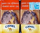 CamelCollectors https://thecamelcollectors.com/assets/images/pack-preview/NW-500-18.jpg