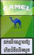 CamelCollectors https://thecamelcollectors.com/assets/images/pack-preview/NW-500-34.jpg