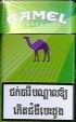 CamelCollectors https://thecamelcollectors.com/assets/images/pack-preview/NW-500-35.jpg