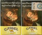 CamelCollectors https://thecamelcollectors.com/assets/images/pack-preview/NW-500-43.jpg