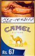 CamelCollectors https://thecamelcollectors.com/assets/images/pack-preview/NW-500-59.jpg