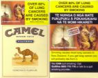 CamelCollectors https://thecamelcollectors.com/assets/images/pack-preview/NZ-002-01.jpg