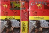 CamelCollectors https://thecamelcollectors.com/assets/images/pack-preview/PH-006-11.jpg