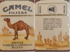 CamelCollectors https://thecamelcollectors.com/assets/images/pack-preview/PR-001-04-6a50f7c5d7800.jpg