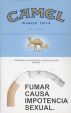 CamelCollectors https://thecamelcollectors.com/assets/images/pack-preview/PY-004-11.jpg