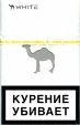 CamelCollectors https://thecamelcollectors.com/assets/images/pack-preview/RU-003-13.jpg