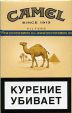 CamelCollectors https://thecamelcollectors.com/assets/images/pack-preview/RU-020-04.jpg