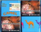 CamelCollectors https://thecamelcollectors.com/assets/images/pack-preview/RU-032-11.jpg