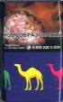 CamelCollectors https://thecamelcollectors.com/assets/images/pack-preview/RU-032-15.jpg