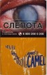 CamelCollectors https://thecamelcollectors.com/assets/images/pack-preview/RU-032-21-6aa15589aa108.jpg