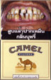 CamelCollectors https://thecamelcollectors.com/assets/images/pack-preview/TH-002-02.jpg