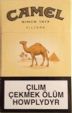 CamelCollectors https://thecamelcollectors.com/assets/images/pack-preview/TM-003-01.jpg