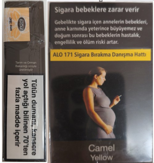 CamelCollectors https://thecamelcollectors.com/assets/images/pack-preview/TR-007-01-68a509d80750f.jpg