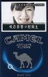 CamelCollectors https://thecamelcollectors.com/assets/images/pack-preview/TW-002-01.jpg