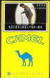 CamelCollectors https://thecamelcollectors.com/assets/images/pack-preview/TW-003-02.jpg