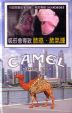 CamelCollectors https://thecamelcollectors.com/assets/images/pack-preview/TW-005-06.jpg