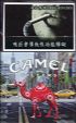 CamelCollectors https://thecamelcollectors.com/assets/images/pack-preview/TW-005-10.jpg