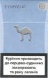 CamelCollectors https://thecamelcollectors.com/assets/images/pack-preview/UA-005-11.jpg