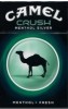 CamelCollectors https://thecamelcollectors.com/assets/images/pack-preview/US-021-82-6aa42a6a93901.jpg
