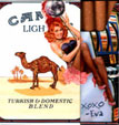 CamelCollectors https://thecamelcollectors.com/assets/images/pack-preview/US-122-12.jpg