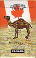 CamelCollectors https://thecamelcollectors.com/assets/images/pack-preview/XX-003-05.jpg