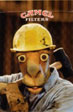CamelCollectors https://thecamelcollectors.com/assets/images/pack-preview/XX-011-01.jpg