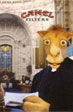 CamelCollectors https://thecamelcollectors.com/assets/images/pack-preview/XX-011-06.jpg