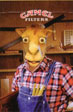 CamelCollectors https://thecamelcollectors.com/assets/images/pack-preview/XX-011-09.jpg