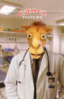 CamelCollectors https://thecamelcollectors.com/assets/images/pack-preview/XX-011-10.jpg