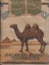 CamelCollectors https://thecamelcollectors.com/assets/images/pack-preview/XX-013-47.jpg