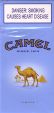 CamelCollectors https://thecamelcollectors.com/assets/images/pack-preview/ZA-005-06.jpg