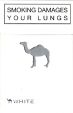 CamelCollectors https://thecamelcollectors.com/assets/images/pack-preview/ZA-005-16.jpg