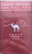 CamelCollectors https://thecamelcollectors.com/assets/images/pack-preview/ZA-015-01-6867b6650a026.jpg